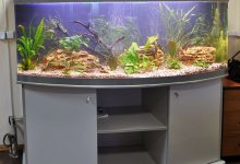 Photo of Уникальные панорамные аквариумы