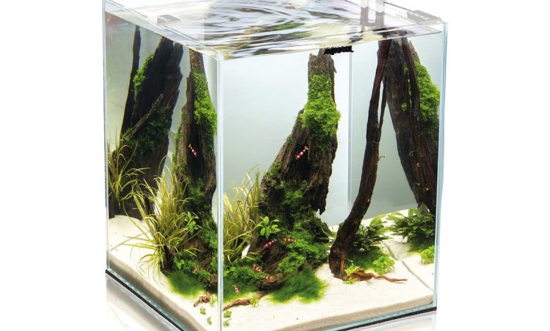 Photo of Удивительные нано-аквариумы для вашего дома