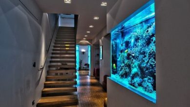 Photo of Как выбрать аквариум-перегородку под стиль помещения