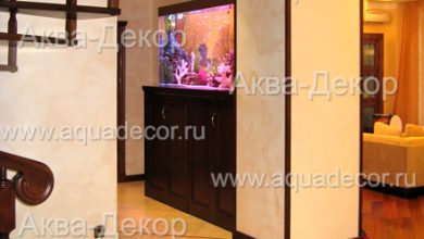 Photo of Аквариум встроенный в раковину