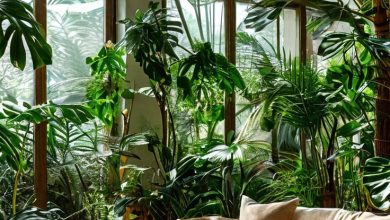 Photo of Тропический оазис в доме