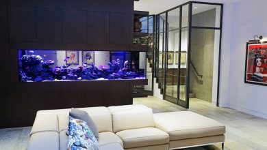 Photo of Аквариум-перегородка: новый взгляд на дизайн