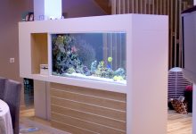 Photo of Аквариум-перегородка: стильно и функционально