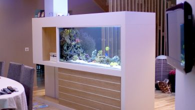 Photo of Аквариум-перегородка: стильно и функционально