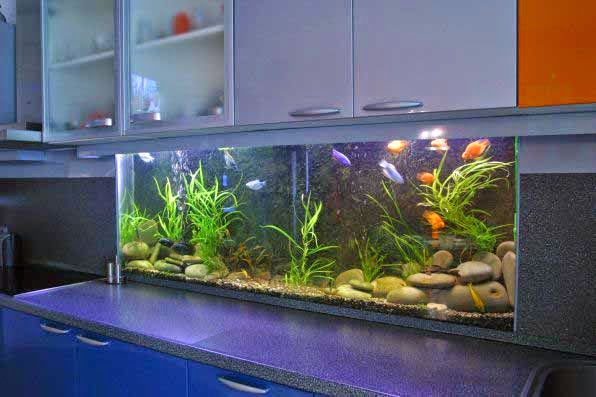 Photo of Мини-аквариум на кухне