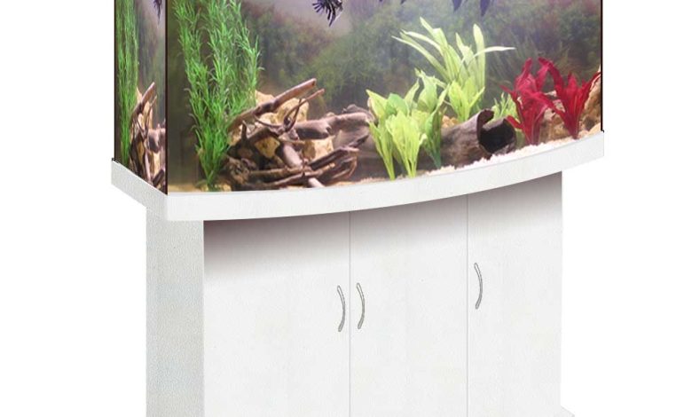 Photo of Фантастические панорамные стеклянные аквариумы