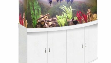 Photo of Уникальные аквариумы-перегородки для дома