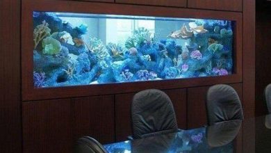 Photo of Встроенный аквариум под телевизором